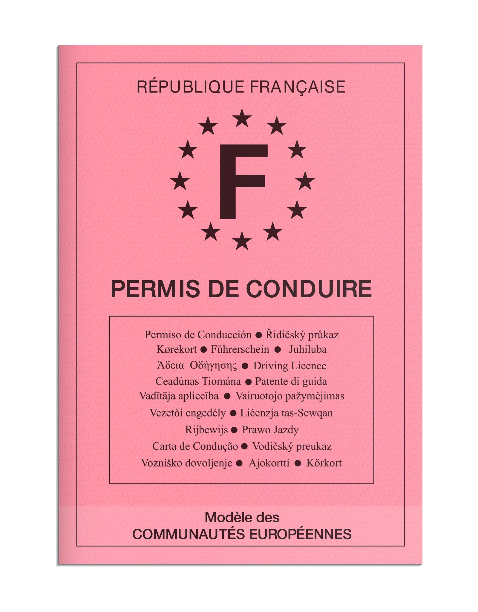obtenir permis conduire rapidement
