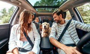 Comment choisir sa voiture en fonction de ses besoins ?